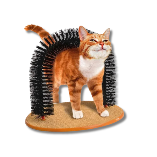 Arc Brosse Auto-Massant - Toilettage et Grattage
