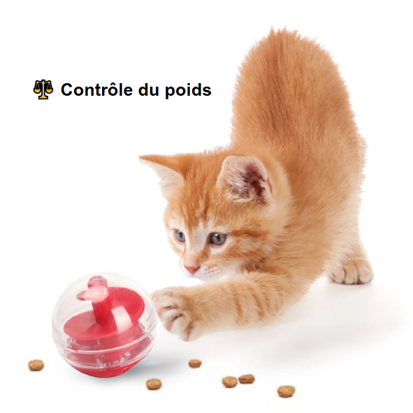 Boule Distributrice de Friandises