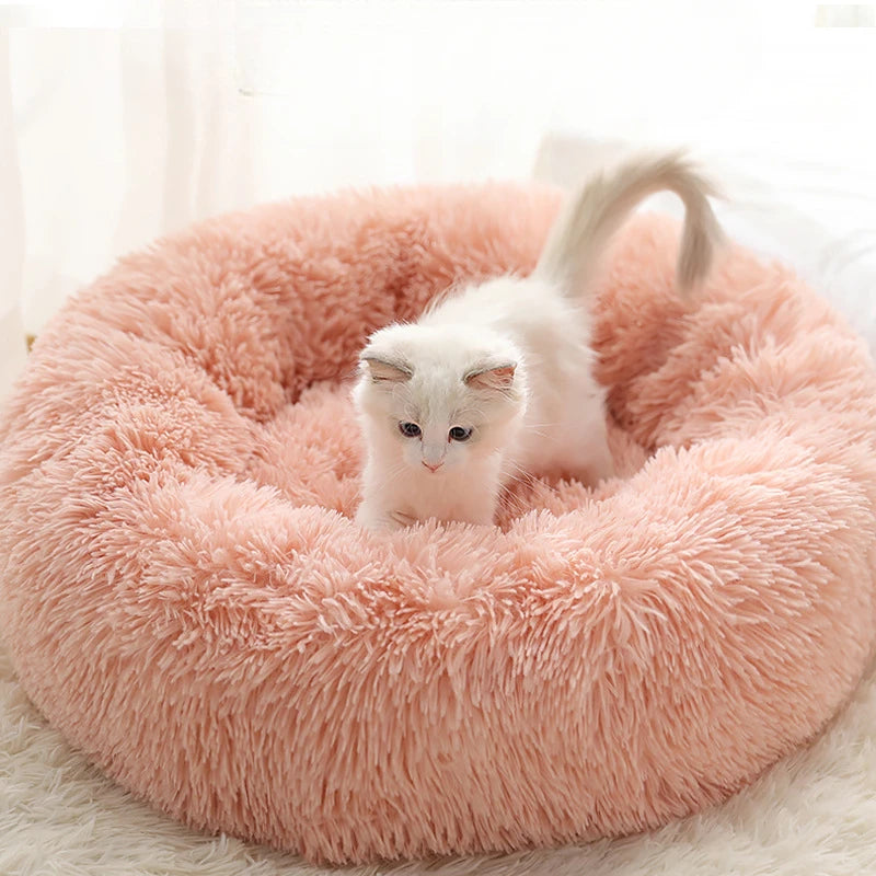 Nid Douillet en Peluche - Coussin Amovible et Lavable - LePetitChat