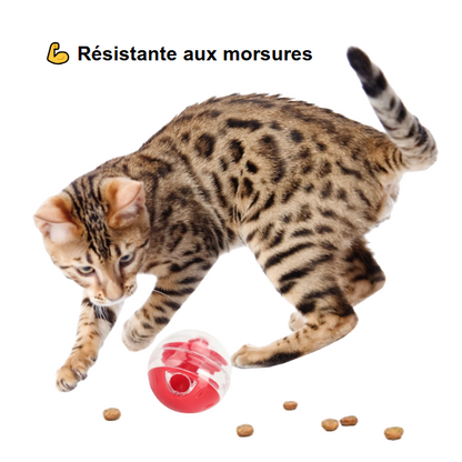 Boule Distributrice de Friandises