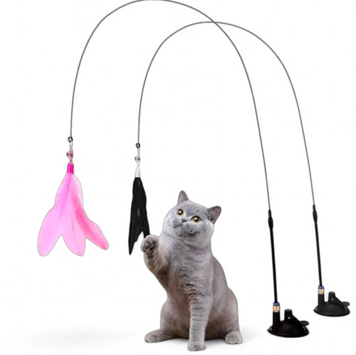 Ventouse Plume Magique - Ultra Stable - LePetitChat