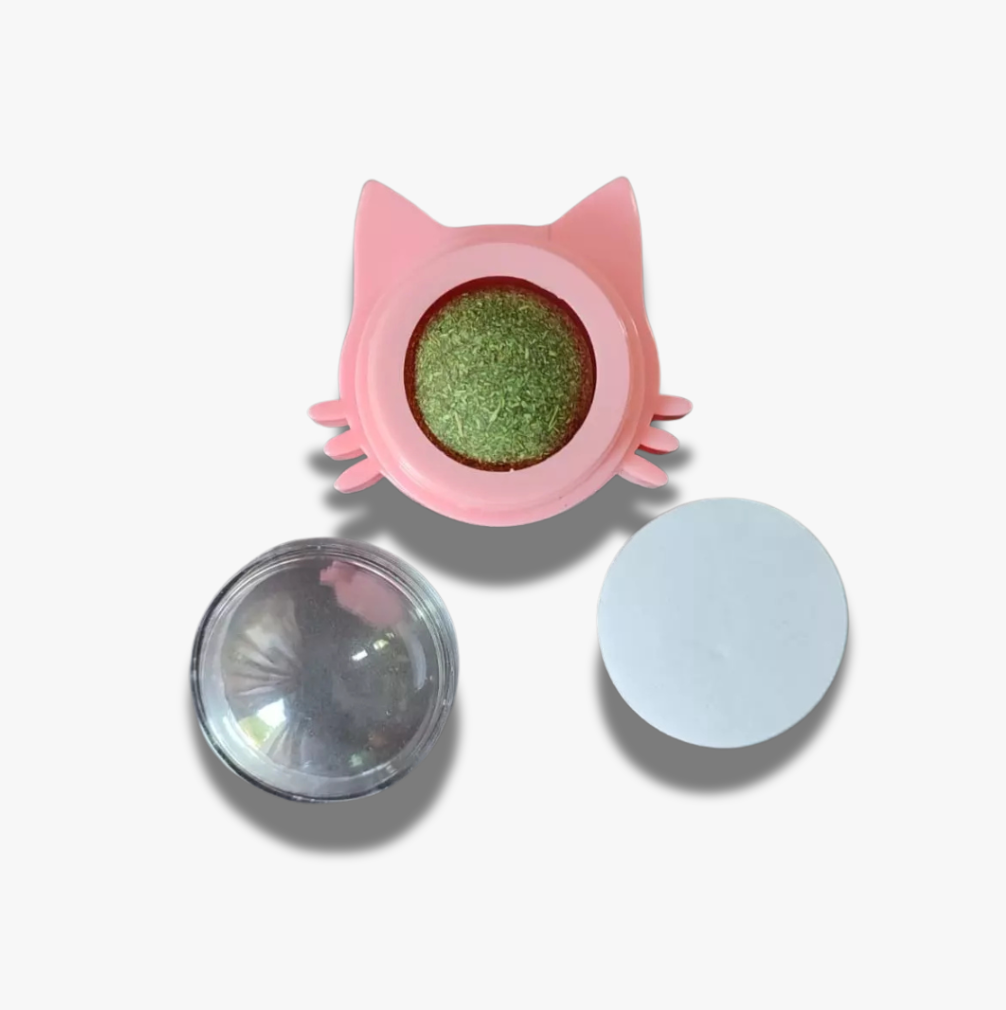 Boule d’Herbe à Chat Colorée - LePetitChat
