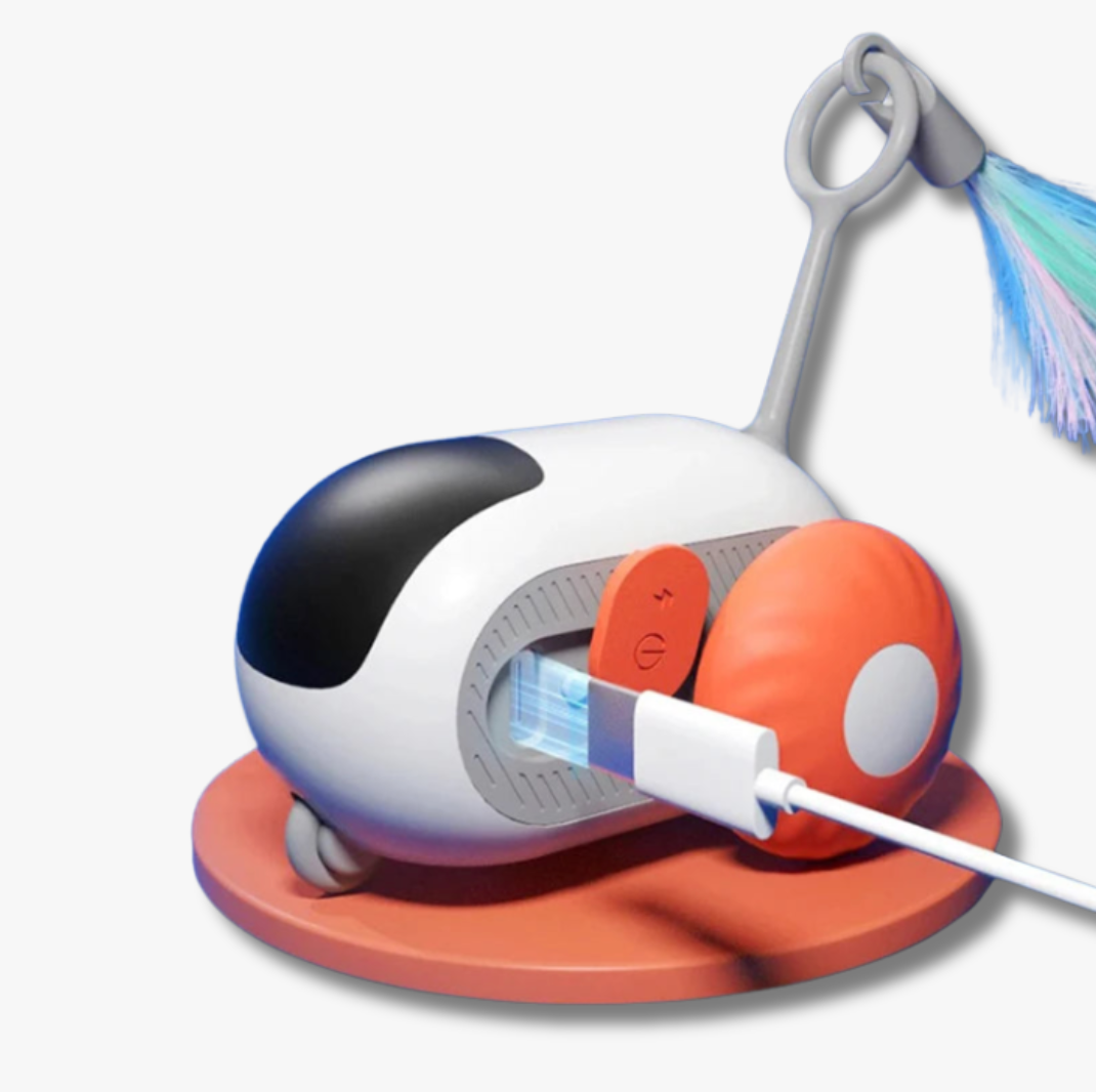 Jouet Voiture Souris Télécommandée - LePetitChat