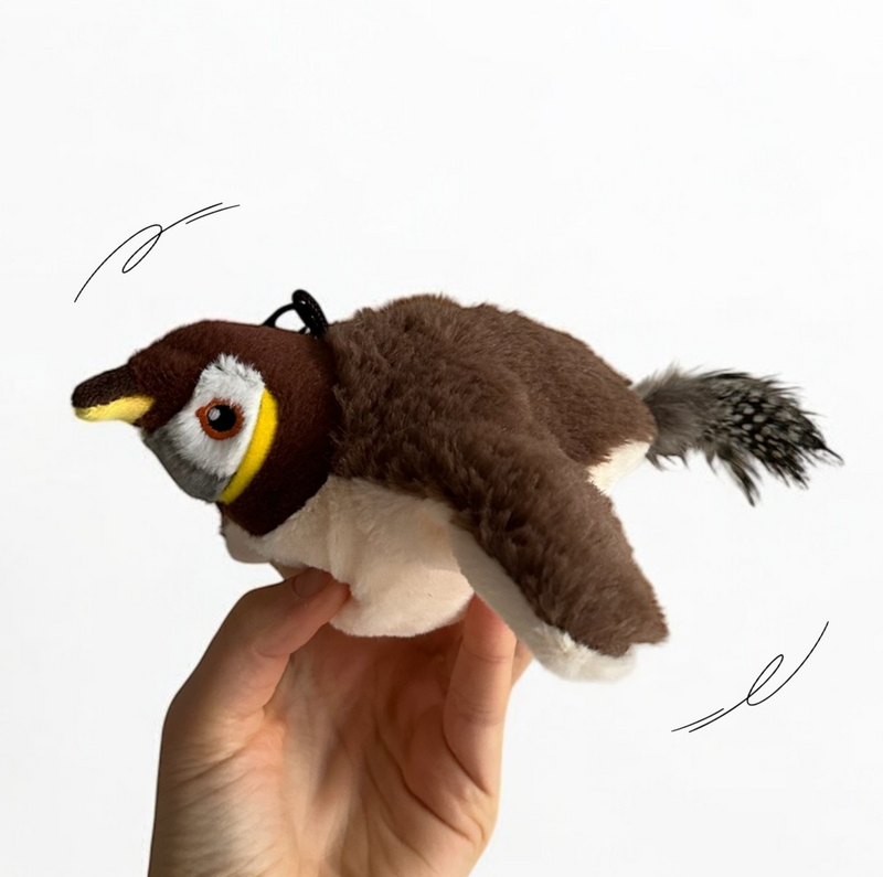 Oiseau Magique Rechargeable avec Herbe à chat - LePetitChat