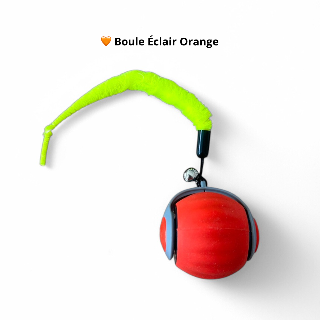 Boule Éclair Premium - Rechargeable