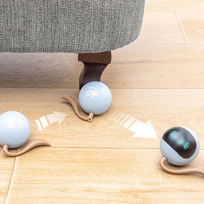 Jouets électriques intelligents pour chat, boule roulante automatique, jouets interactifs pour l'entraînement des chats, jouets pour chaton mobiles, accessoires pour animaux de compagnie - LePetitChat