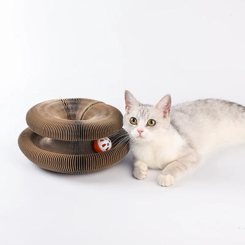 Carton Interactif Pliable - LePetitChat